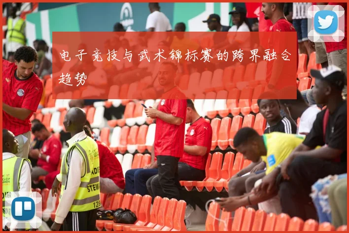 电子竞技与武术锦标赛的跨界融合趋势