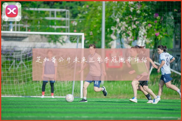 芝加哥公牛未来三年夺冠概率评估
