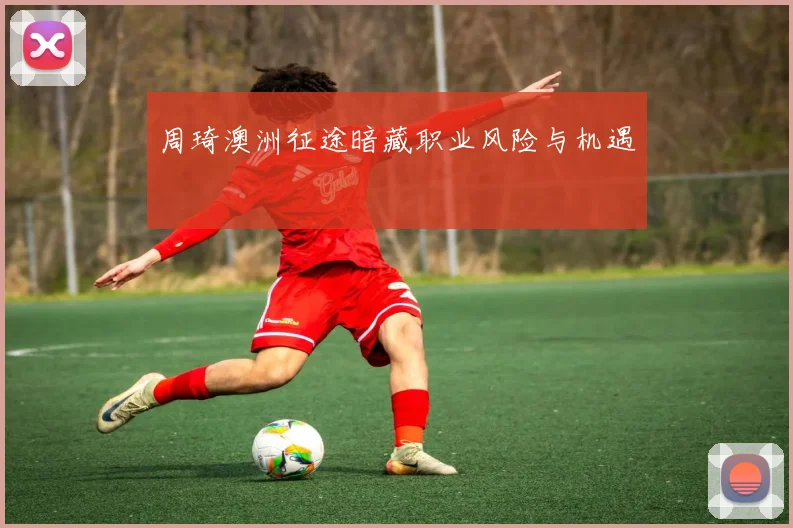 周琦澳洲征途暗藏职业风险与机遇