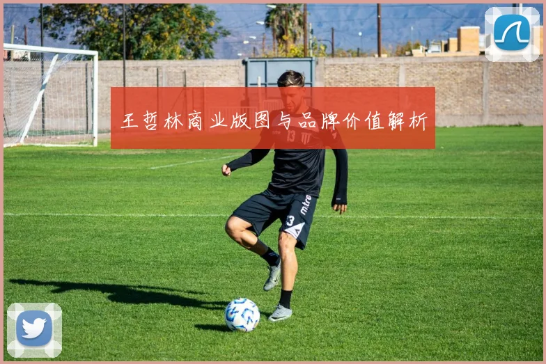 王哲林商业版图与品牌价值解析