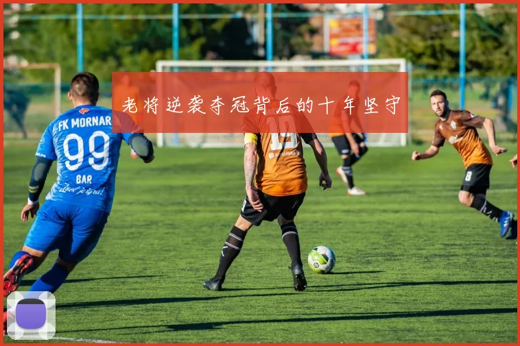 老将逆袭夺冠背后的十年坚守