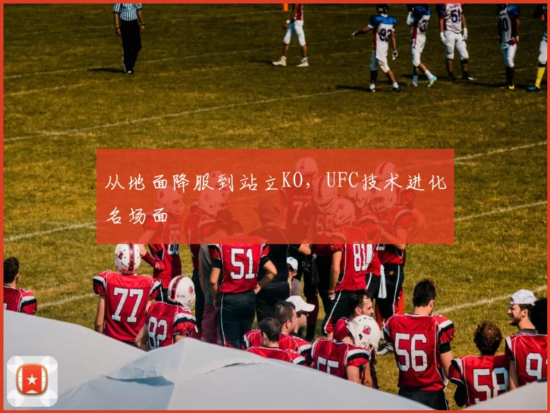 从地面降服到站立KO，UFC技术进化名场面